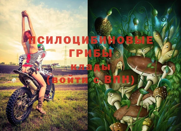 ALPHA PVP Алексеевка